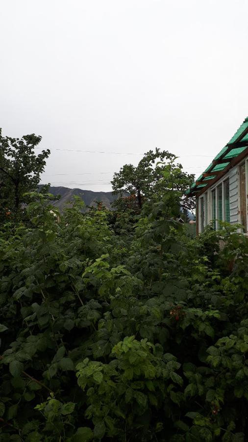 Nurgul Hotell Bokonbayevo Eksteriør bilde
